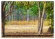 Thumbnail-8