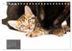 Thumbnail-11