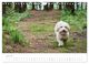 Thumbnail-12