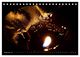 Thumbnail-14