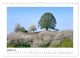 Thumbnail-12