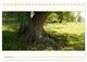 Thumbnail-14