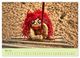 Thumbnail-9