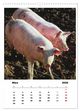 Thumbnail-8