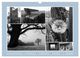 Thumbnail-14