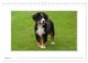 Thumbnail-13