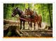 Thumbnail-8