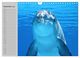 Thumbnail-14