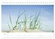 Thumbnail-10