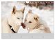 Thumbnail-9