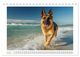 Thumbnail-11