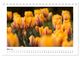 Thumbnail-10