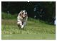Thumbnail-14