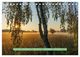 Thumbnail-13