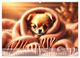Thumbnail-12