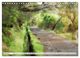 Thumbnail-11
