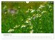 Thumbnail-14