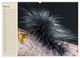 Thumbnail-10