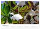 Thumbnail-14