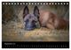 Thumbnail-11
