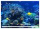 Thumbnail-12