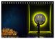 Thumbnail-7