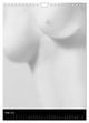 Thumbnail-10