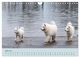 Thumbnail-11