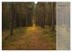 Thumbnail-14