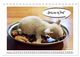 Thumbnail-14