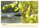 Thumbnail-12