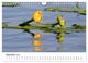 Thumbnail-11