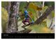 Thumbnail-8