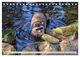Thumbnail-12