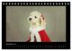 Thumbnail-14