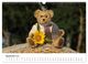 Thumbnail-11