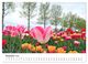 Thumbnail-14