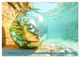 Thumbnail-9