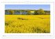 Thumbnail-10