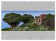 Thumbnail-12