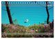 Thumbnail-11