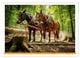 Thumbnail-8