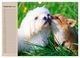 Thumbnail-14