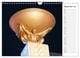 Thumbnail-11