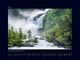 Thumbnail-11