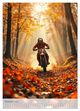 Thumbnail-12