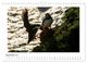 Thumbnail-14