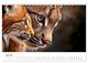 Thumbnail-12