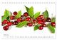 Thumbnail-12