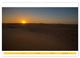 Thumbnail-13
